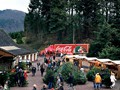 Der Truck auf dem Gut Kuweide 