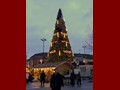 Der große Tannenbaum von Dortmund !