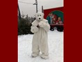 ... und ein schnuckliger Cola-Eisbär