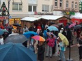 Die Besucher im Regen